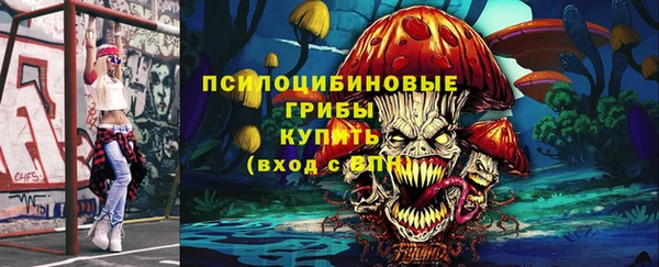 гашик Абаза