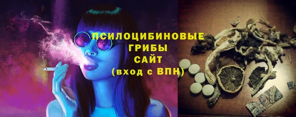 гашик Абаза