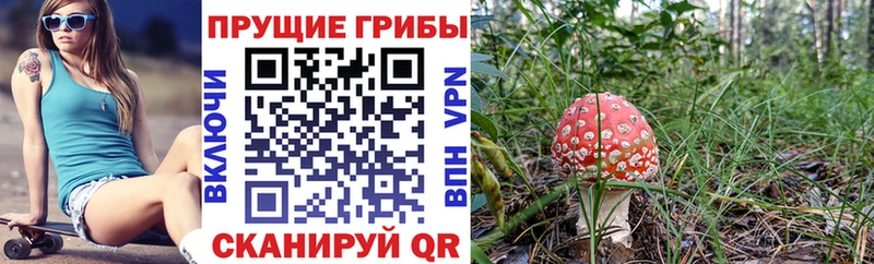 где найти наркотики  Новомичуринск  Галлюциногенные грибы мухоморы 
